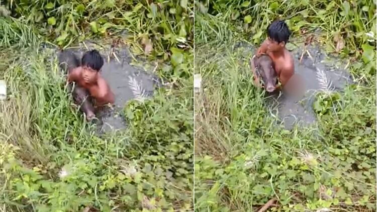 जब जंगली सूअर से अकेले ही भिड़ गया 14 साल का बच्चा, कायम कर दी बहादुरी की मिसाल