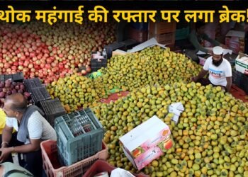 आम आदमी को राहत! जुलाई में थोक महंगाई में मामूली गिरावट, 9.78% पर आया WPI Inflation