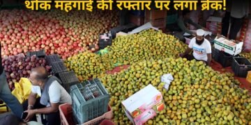 आम आदमी को राहत! जुलाई में थोक महंगाई में मामूली गिरावट, 9.78% पर आया WPI Inflation