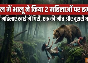 उत्तराखंड में भालू के हमले से बचने के चक्कर में गहरी खाई में गिरी 2 महिलाएं, एक की मौत