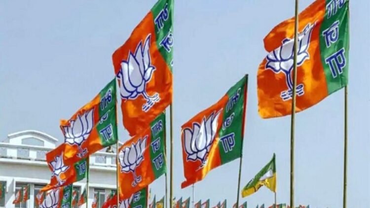 BJP ने जारी की प्रभारियों और सह प्रभारियों की लिस्ट, स्मृति ईरानी को छत्तीसगढ़ और हरीश द्विवेदी को बिहार की जिम्मेदारी