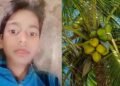 11 साल बच्चे के सिर पर पेड़ से गिर गया नारियल, इलाज के दौरान मौत, परिवार के लिए राहत सामग्री लेने गया था