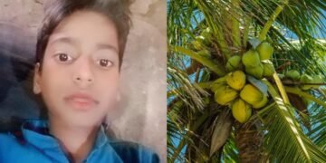 11 साल बच्चे के सिर पर पेड़ से गिर गया नारियल, इलाज के दौरान मौत, परिवार के लिए राहत सामग्री लेने गया था