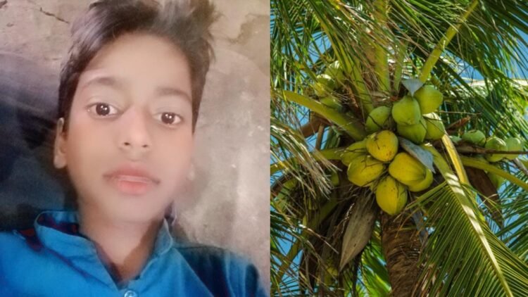 11 साल बच्चे के सिर पर पेड़ से गिर गया नारियल, इलाज के दौरान मौत, परिवार के लिए राहत सामग्री लेने गया था