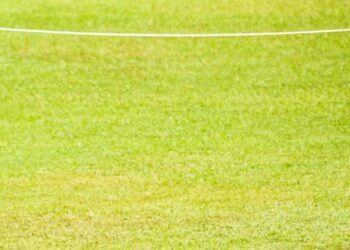 T20 World Champion India के खिलाफ Japan ने घोषित की टीम, सानो में होगा महामुकाबला