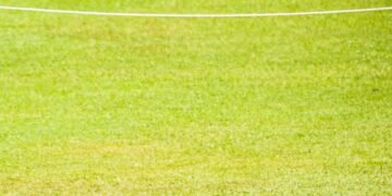 T20 World Champion India के खिलाफ Japan ने घोषित की टीम, सानो में होगा महामुकाबला