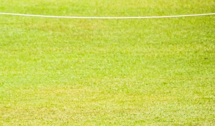 T20 World Champion India के खिलाफ Japan ने घोषित की टीम, सानो में होगा महामुकाबला