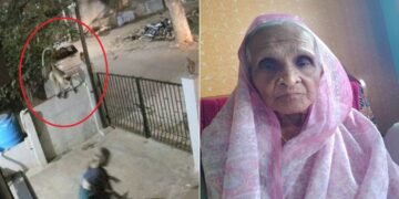 आंगन में टहल रही थीं 91 साल की महिला… बंदर ने धक्का मारा और हो गई मौत, VIDEO देख सिहर उठेंगे