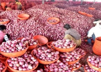 तमिलनाडु में सस्ता बिक रहा प्याज, इन दुकानों से खरीद सकते हैं 35 रुपये में एक किलो