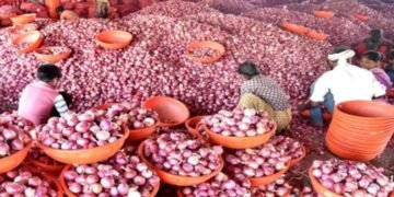 तमिलनाडु में सस्ता बिक रहा प्याज, इन दुकानों से खरीद सकते हैं 35 रुपये में एक किलो