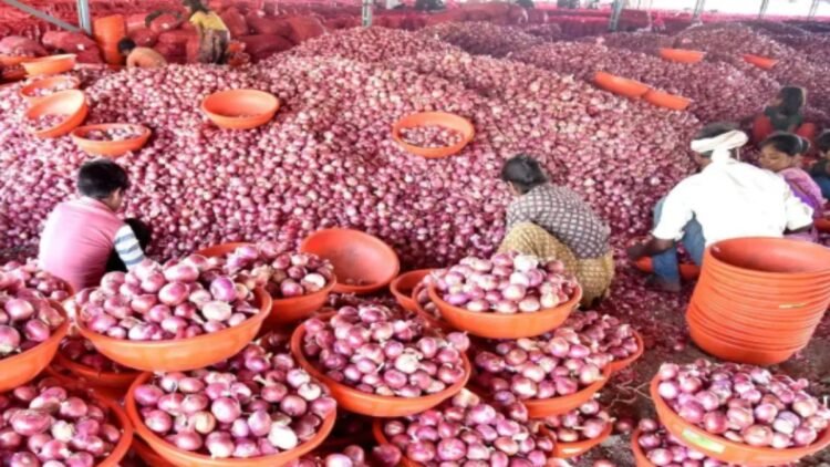 तमिलनाडु में सस्ता बिक रहा प्याज, इन दुकानों से खरीद सकते हैं 35 रुपये में एक किलो