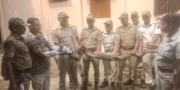मछुआरे को लगा कि जाल में मछली फंसी है लेकिन वो निकला अजगर, हालत हुई खराब तो वन विभाग को दी जानकारी
