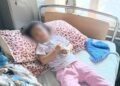 मासूम की चीखों से दहला शिमला, 20 महीने की बच्ची को घर के बाहर से घसीटकर ले गए आवारा कुत्ते