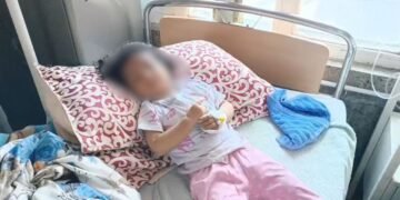 मासूम की चीखों से दहला शिमला, 20 महीने की बच्ची को घर के बाहर से घसीटकर ले गए आवारा कुत्ते