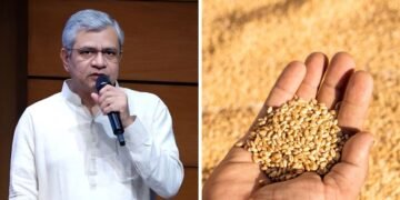 गेहूं की MSP पर आया सरकार का बड़ा फैसला, अश्विनी वैष्णव ने किया नए रेट का ऐलान