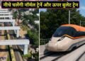 नीचे से गुजरेंगी ट्रेनें और ऊपर से फर्राटा भरेगी बुलेट ट्रेन, वडोदरा में पूरा हुआ बड़ा काम