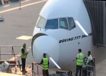 दुबई से दिल्ली आई Emirates फ्लाइट से टकराया पक्षी, वापसी की उड़ान में देरी; यात्रियों के लिए होटल का इंतजाम