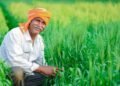 यूपी के किसानों की बल्ले-बल्ले, खेती की मशीनरी पर मिलेगी भारी सब्सिडी; सरकार का बड़ा ऐलान
