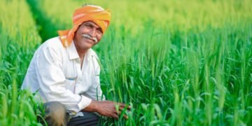 यूपी के किसानों की बल्ले-बल्ले, खेती की मशीनरी पर मिलेगी भारी सब्सिडी; सरकार का बड़ा ऐलान