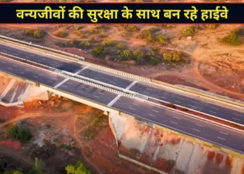 हाईवे की रफ्तार के बीच वन्यजीवों की सुरक्षा का भी इंतजाम, NHAI ने खर्च किए ₹19700 करोड़; 2150 से ज्यादा वाइल्डलाइफ स्ट्रक्चर तैयार