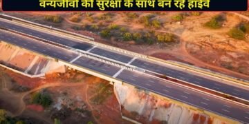 हाईवे की रफ्तार के बीच वन्यजीवों की सुरक्षा का भी इंतजाम, NHAI ने खर्च किए ₹19700 करोड़; 2150 से ज्यादा वाइल्डलाइफ स्ट्रक्चर तैयार