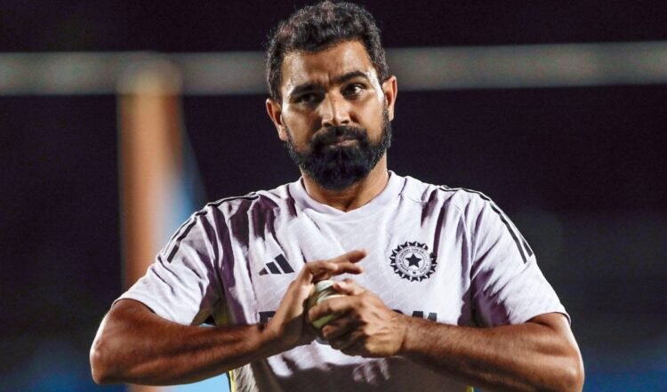 mohammed shami excluded from india squad for new zealand odi and test series