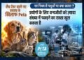 जानवरों पर एक्सपेरीमेंट के नियमों में बदलाव का ड्राफ्ट जारी, PETA ने जताया विरोध, कहा- ‘पशुओं पर क्रूरता बढ़ेगी’