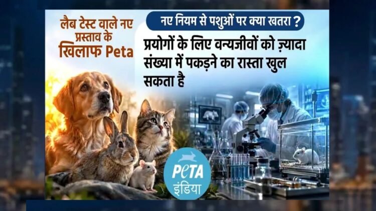 जानवरों पर एक्सपेरीमेंट के नियमों में बदलाव का ड्राफ्ट जारी, PETA ने जताया विरोध, कहा- ‘पशुओं पर क्रूरता बढ़ेगी’