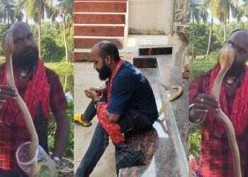 रीलबाजी के चक्कर में सांप के साथ खिलवाड़ पड़ा भारी, कोबरा ने युवक को कई जगहों पर डसा, हुई दर्दनाक मौत