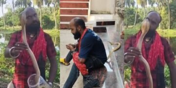 रीलबाजी के चक्कर में सांप के साथ खिलवाड़ पड़ा भारी, कोबरा ने युवक को कई जगहों पर डसा, हुई दर्दनाक मौत