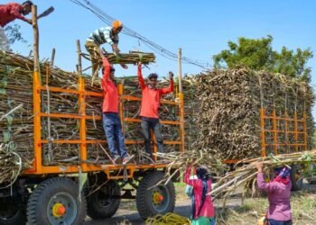 सरकार ने गन्ने के रस, चीनी से बने इथेनॉल पर लगाई रोक, मक्के से बने इथेनॉल पर प्रोत्साहन भी घटाया