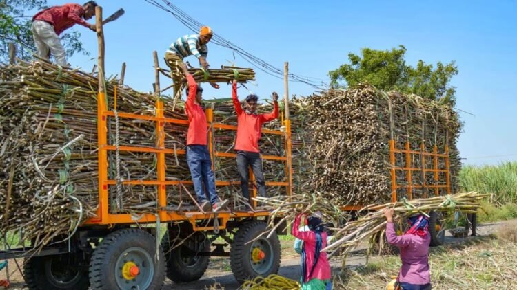 सरकार ने गन्ने के रस, चीनी से बने इथेनॉल पर लगाई रोक, मक्के से बने इथेनॉल पर प्रोत्साहन भी घटाया