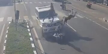तेज रफ्तार बोलेरो ने मारी जोरदार टक्कर, दूर जा गिरे स्कूटी सवार, खौफनाक CCTV फुटेज आया सामने