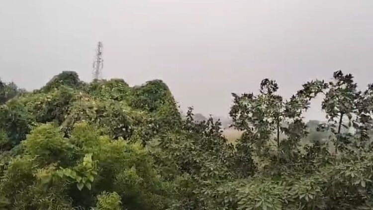 हरियाणा में बदला मौसम का मिजाज, 20 राज्यों में आज आंधी-तूफान के साथ बारिश की चेतावनी; राजस्थान में गिर सकते हैं ओले