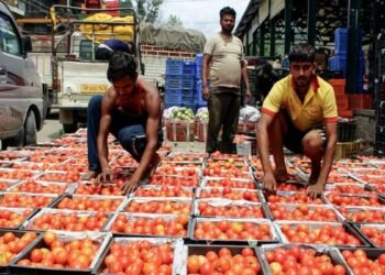 महंगाई का बड़ा झटका: सितंबर में 11.39% पर पहुंची थोक महंगाई दर, खाने-पीने की चीजों के बढ़े दाम